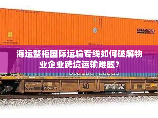 海运整柜国际运输专线如何破解物业企业跨境运输难题？