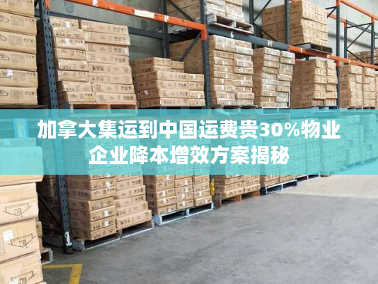 加拿大集运到中国运费贵30%物业企业降本增效方案揭秘