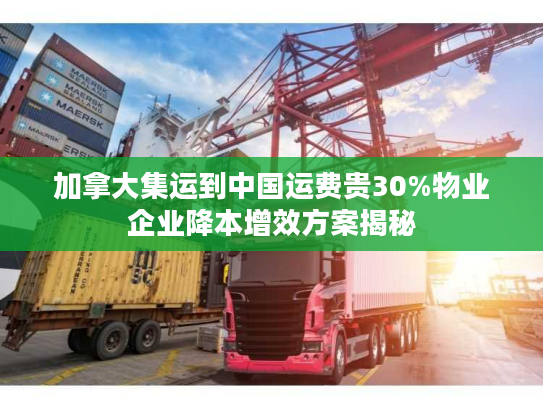 加拿大集运到中国运费贵30%物业企业降本增效方案揭秘