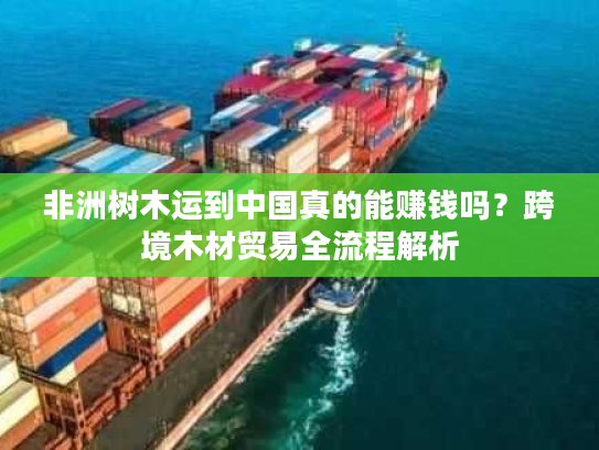 非洲树木运到中国真的能赚钱吗？跨境木材贸易全流程解析