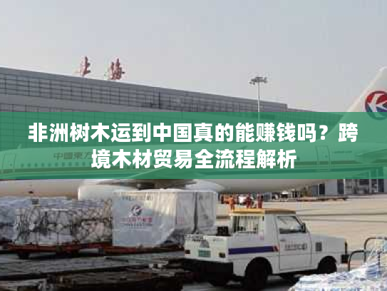 非洲树木运到中国真的能赚钱吗？跨境木材贸易全流程解析
