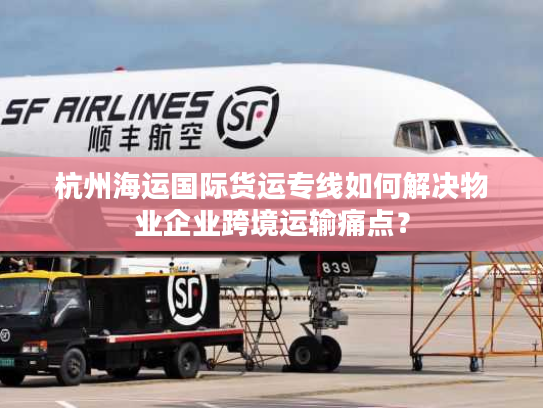 杭州海运国际货运专线如何解决物业企业跨境运输痛点？