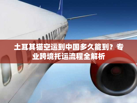 土耳其猫空运到中国多久能到？专业跨境托运流程全解析