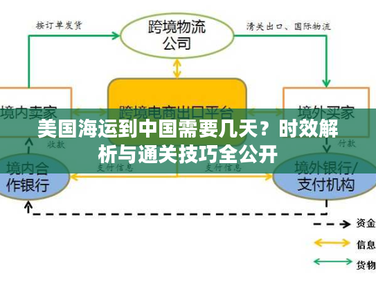 美国海运到中国需要几天？时效解析与通关技巧全公开