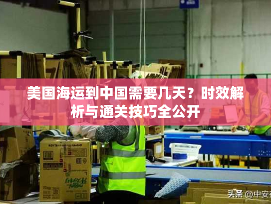 美国海运到中国需要几天？时效解析与通关技巧全公开