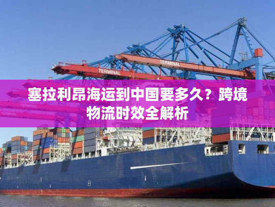 塞拉利昂海运到中国要多久？跨境物流时效全解析