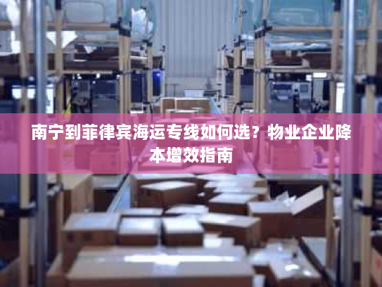 南宁到菲律宾海运专线如何选？物业企业降本增效指南