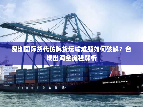 深圳国际货代仿牌货运输难题如何破解？合规出海全流程解析