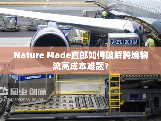 Nature Made直邮如何破解跨境物流高成本难题？