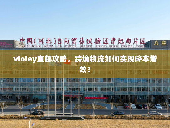 violey直邮攻略,跨境物流如何实现降本增效? violey直邮攻略,跨境物流如何实现降本增效?