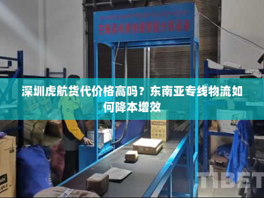 深圳虎航货代价格高吗？东南亚专线物流如何降本增效