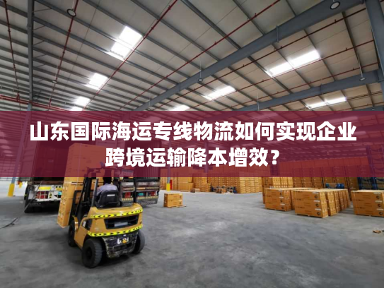 山东国际海运专线物流如何实现企业跨境运输降本增效? 山东国际海运专线物流如何实现企业跨境运输降本增效?