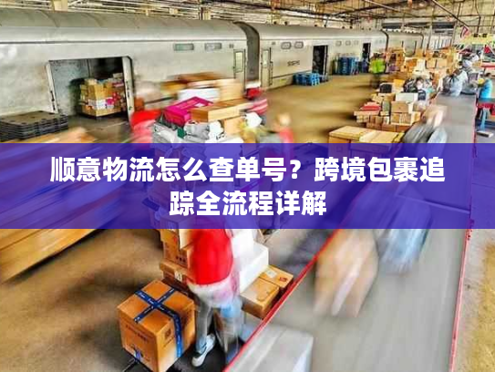 顺意物流怎么查单号？跨境包裹追踪全流程详解