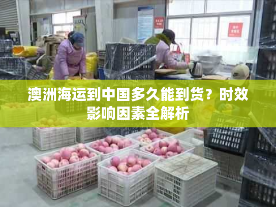 澳洲海运到中国多久能到货？时效影响因素全解析