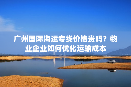 广州国际海运专线价格贵吗？物业企业如何优化运输成本