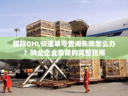 国际DHL快递单号查询失败怎么办？物业企业急需的完整指南