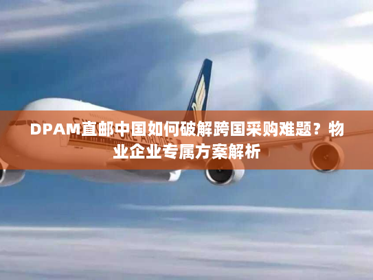 DPAM直邮中国如何破解跨国采购难题？物业企业专属方案解析