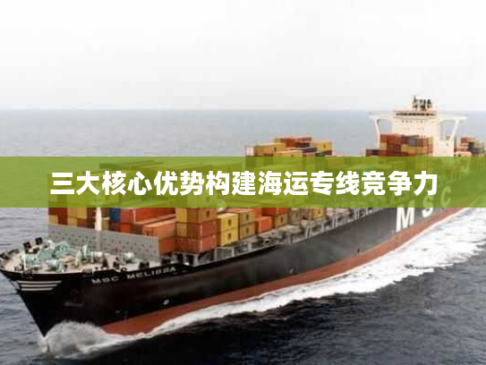 三大核心优势构建海运专线竞争力
