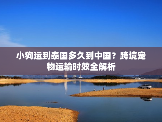 小狗运到泰国多久到中国？跨境宠物运输时效全解析