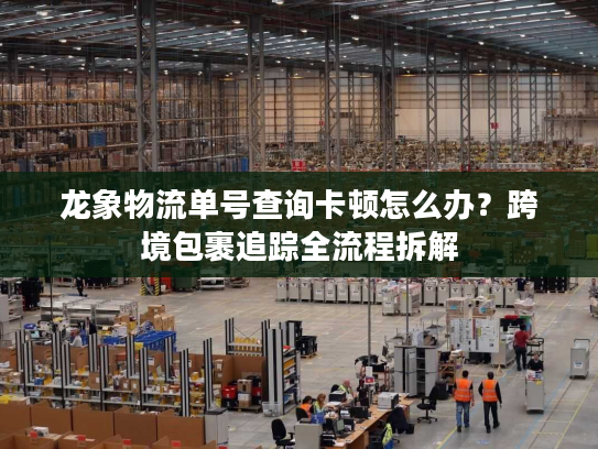 龙象物流单号查询卡顿怎么办？跨境包裹追踪全流程拆解
