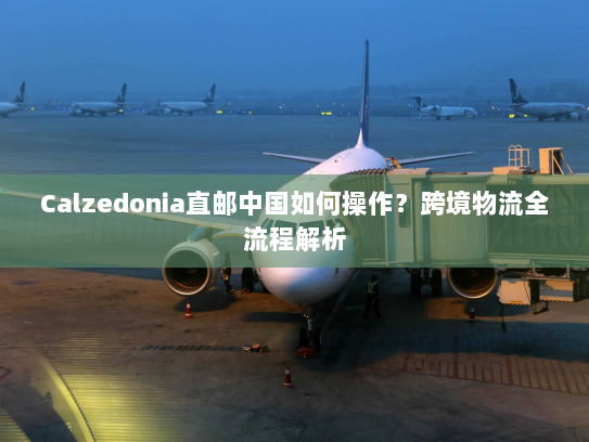 Calzedonia直邮中国如何操作？跨境物流全流程解析