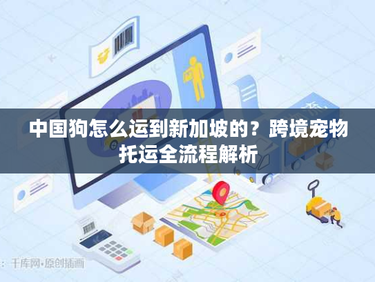中国狗怎么运到新加坡的?跨境宠物托运全流程解析 中国狗怎么运到新加坡的?跨境宠物托运全流程解析