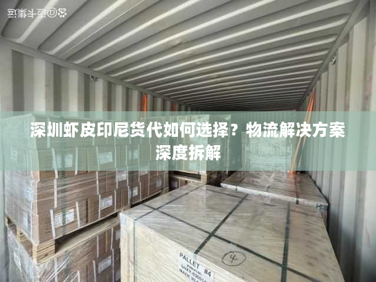 深圳虾皮印尼货代如何选择?物流解决方案深度拆解 深圳虾皮印尼货代如何选择?物流解决方案深度拆解