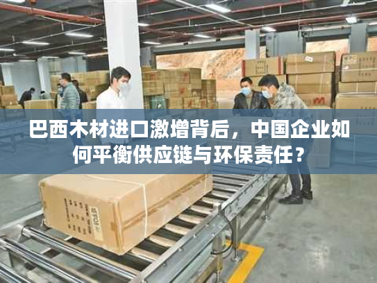 巴西木材进口激增背后，中国企业如何平衡供应链与环保责任？