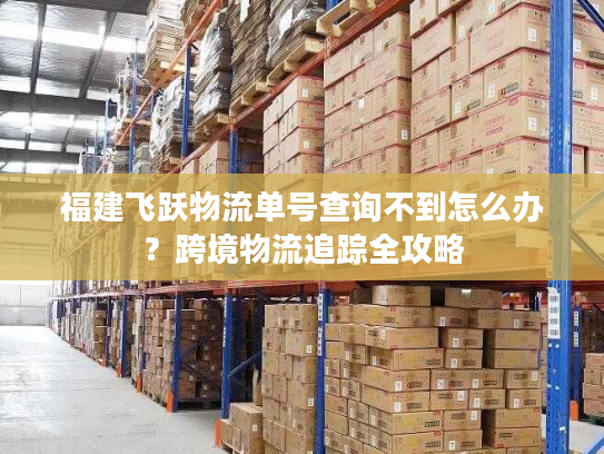 福建飞跃物流单号查询不到怎么办？跨境物流追踪全攻略