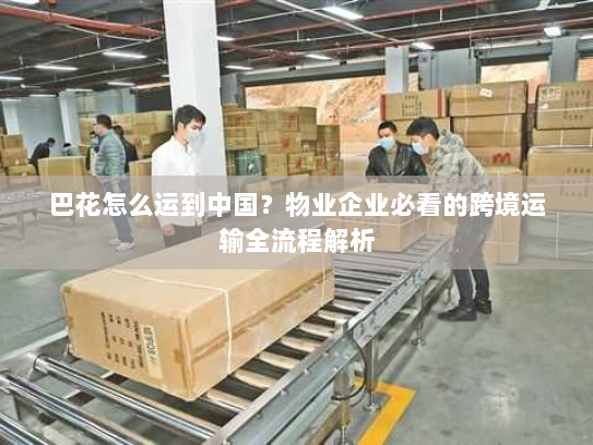巴花怎么运到中国？物业企业必看的跨境运输全流程解析