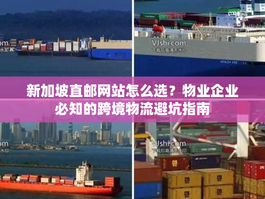 新加坡直邮网站怎么选？物业企业必知的跨境物流避坑指南