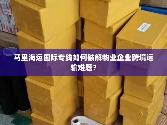 马里海运国际专线如何破解物业企业跨境运输难题?