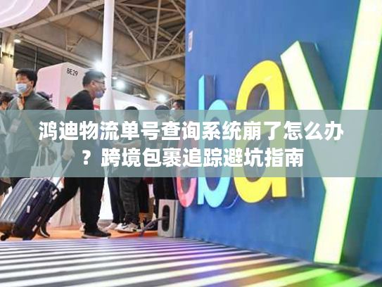 鸿迪物流单号查询系统崩了怎么办？跨境包裹追踪避坑指南