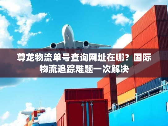 尊龙物流单号查询网址在哪？国际物流追踪难题一次解决