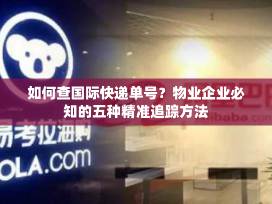如何查国际快递单号？物业企业必知的五种精准追踪方法