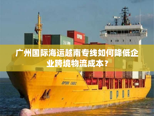 广州国际海运越南专线如何降低企业跨境物流成本？