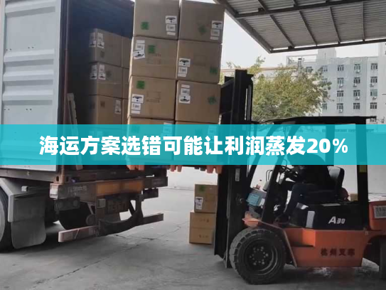 海运方案选错可能让利润蒸发20%