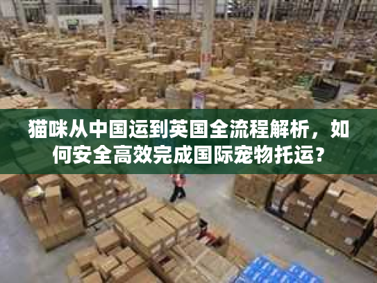 猫咪从中国运到英国全流程解析，如何安全高效完成国际宠物托运？