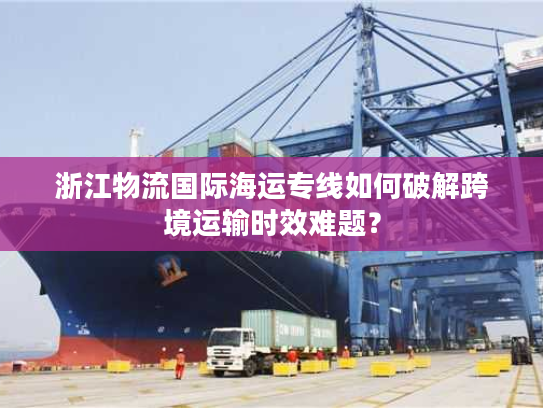 浙江物流国际海运专线如何破解跨境运输时效难题？