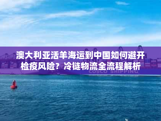 澳大利亚活羊海运到中国如何避开检疫风险？冷链物流全流程解析