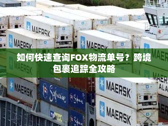 如何快速查询FOX物流单号？跨境包裹追踪全攻略