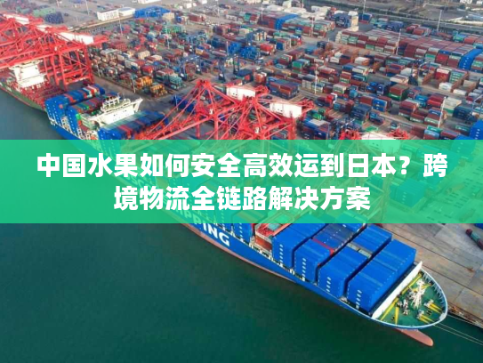 中国水果如何安全高效运到日本？跨境物流全链路解决方案