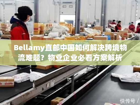 Bellamy直邮中国如何解决跨境物流难题？物业企业必看方案解析