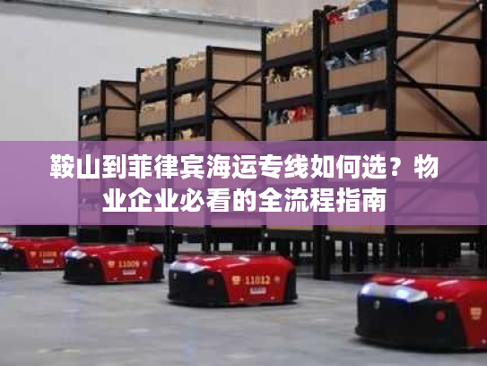 鞍山到菲律宾海运专线如何选？物业企业必看的全流程指南