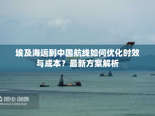 埃及海运到中国航线如何优化时效与成本？最新方案解析
