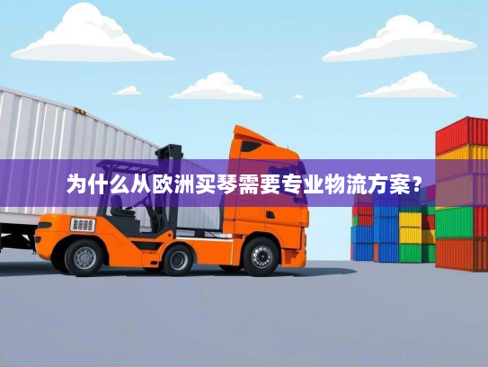 为什么从欧洲买琴需要专业物流方案？