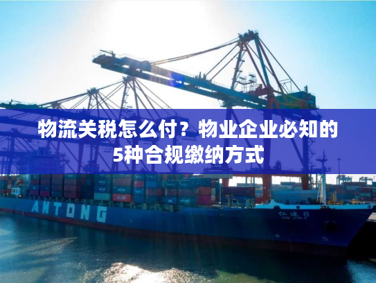 物流关税怎么付？物业企业必知的5种合规缴纳方式