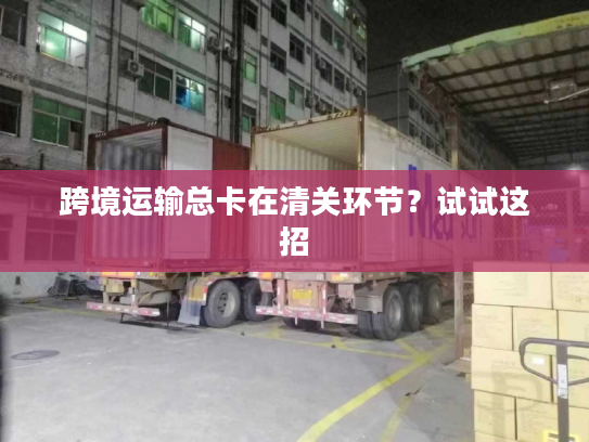 跨境运输总卡在清关环节？试试这招