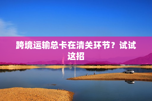 跨境运输总卡在清关环节？试试这招