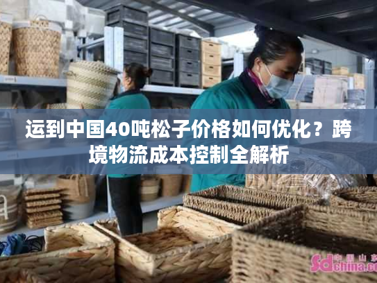 运到中国40吨松子价格如何优化？跨境物流成本控制全解析